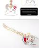Adult 1:1 Human Spine Model for Chiropractic Practice - Cervical, Lumbar, and Skeleton Display