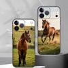 Horse A-Animal Phone Case For iPhone 17, 16,15,14,13,12,11 Plus,Pro Max, Others Soft Black Cover