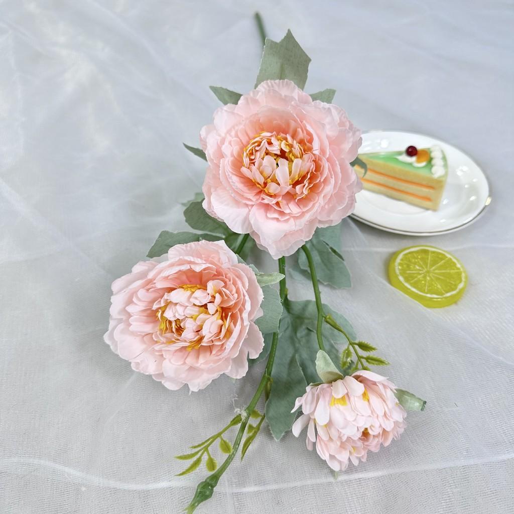 Silk Paeonia Suffruticosa Wedding Arch Flower Decoration For Event Photography And Home Decor