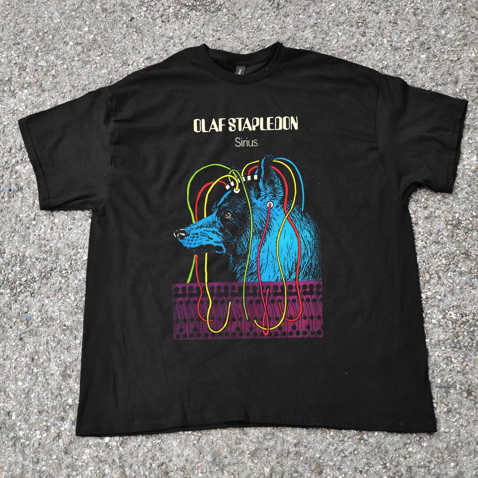 Sirius T-Shirt | Olaf Stapledon Sci-Fi Tee | Cyberpunk Style Literary Shirt | Niche Classic Novel Clothing | Gift for Sci-Fi Readers XL