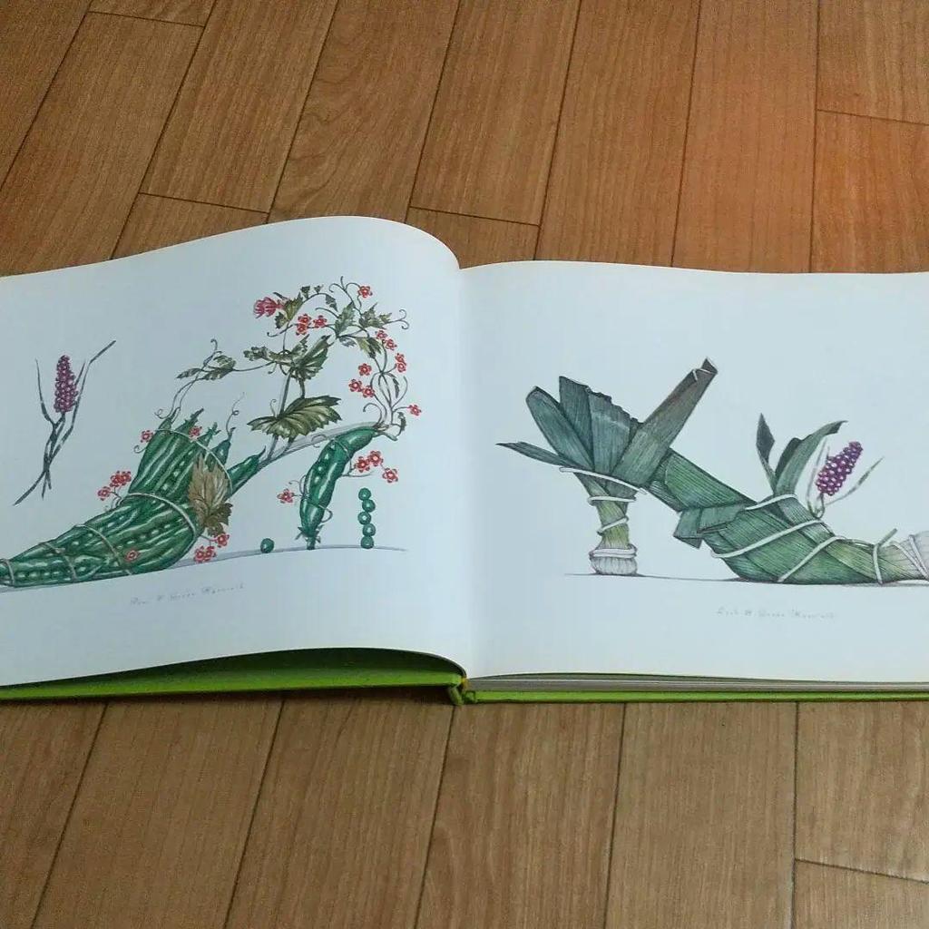 [USED] Used Books Botanical Art Flowers Plants Shoes Botanical Illustrations