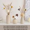 Cream Style Decorative Vases for Living Room, Bedroom, or TV Cabinet with Dried Flowers