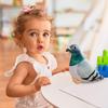 Pigeon Plush Toy  Plush Doll Simulation Ornaments Soft and Cute Peace Bird Animal Cute  As Gift for Kids
