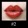 Waterproof Moisturizing Matte Lipstick Set Magnetic Lipstick Lipstick