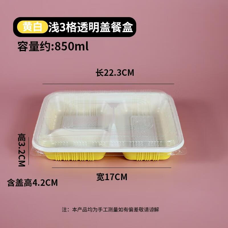 

JingJingRS Disposable Bento Lunch Box