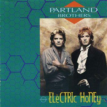 

LP Record PARTLAND BROTHERS Electric Honey ST53050 MANHATTAN 1986 US Rock Used