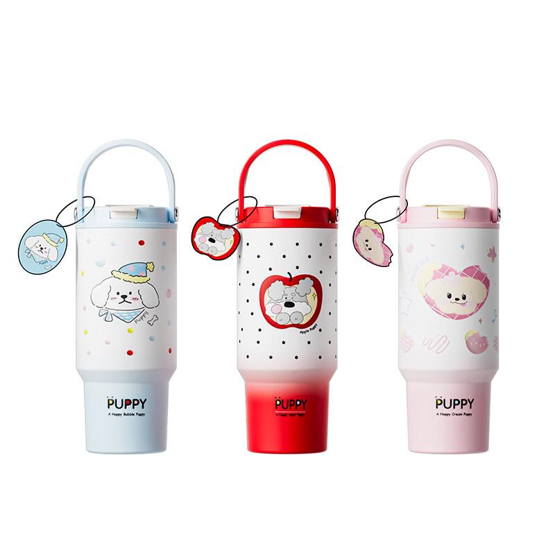 OLOEY Stainless Steel Portable Water Bottle with Straw