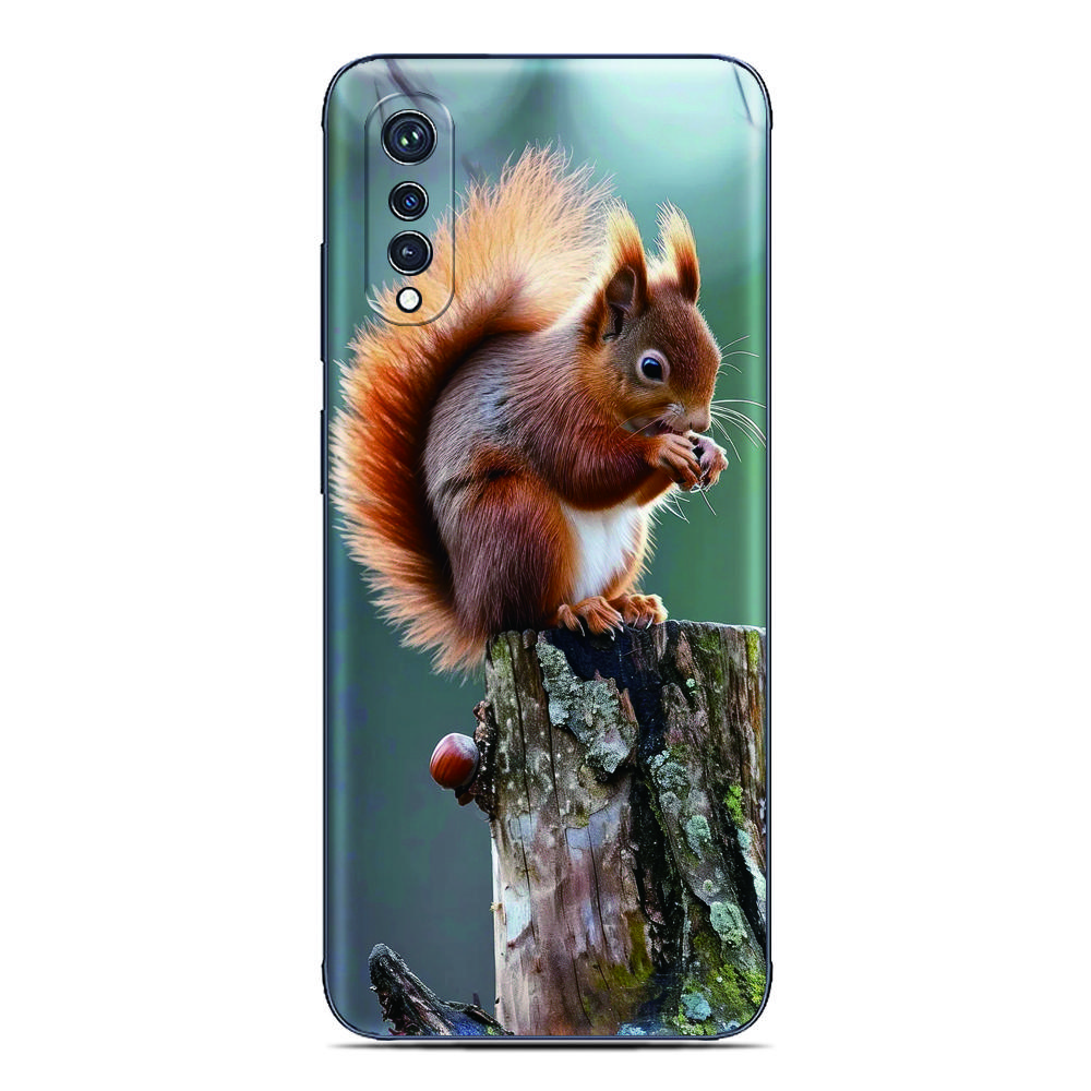 

Чехол для телефона с фото белки для Sony Xperia 1 VIII 10 VII 5 VI V IV III II XZ5 XZ4 XZ3 XZ2 XA1 XA2 Ultra L3 3 4 6 7 8 Задняя крышка Xperia 5 II