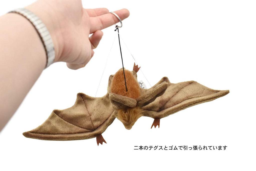 Canal BH3064 HANSA Bat Marrón 37