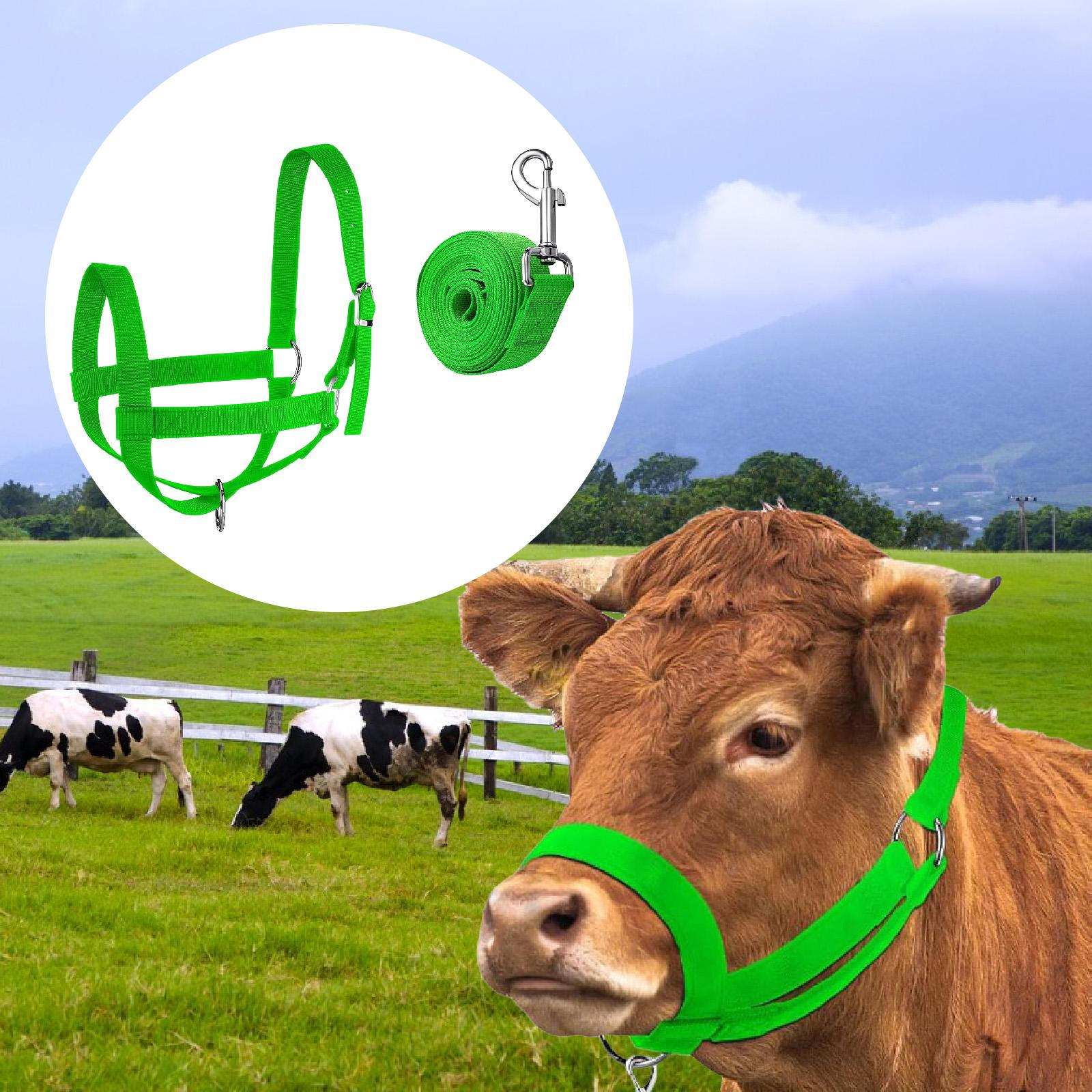 

Нейлоновый недоуздок для коровы, скота, регулируемый, для жеребенка, профессиональная веревка, недоуздки для теленка, лошади