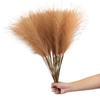 10pcs Artificial Puff Reed Photography Props 55m Simulated Reed Pampas Grass Flower Arranging Art