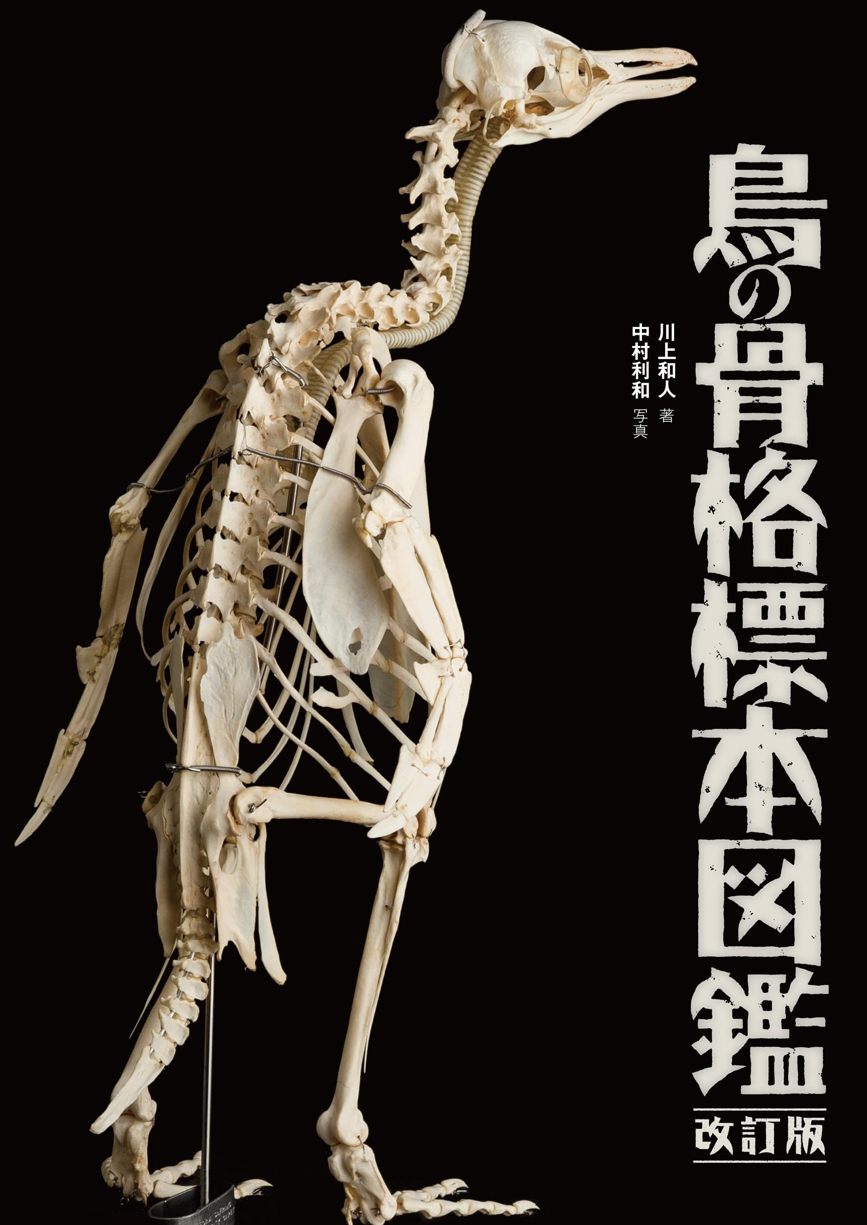 Bird Skeleton Specimen Encyclopedia, Revised Edition (BIRDER SPECIAL)