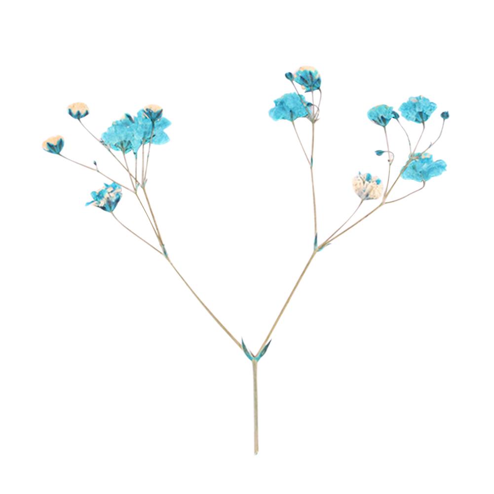 12ks sušených květin Vzorek větve Karta z epoxidové pryskyřice Záložka Doplňky pro kutily Live City Fashion Home Decor