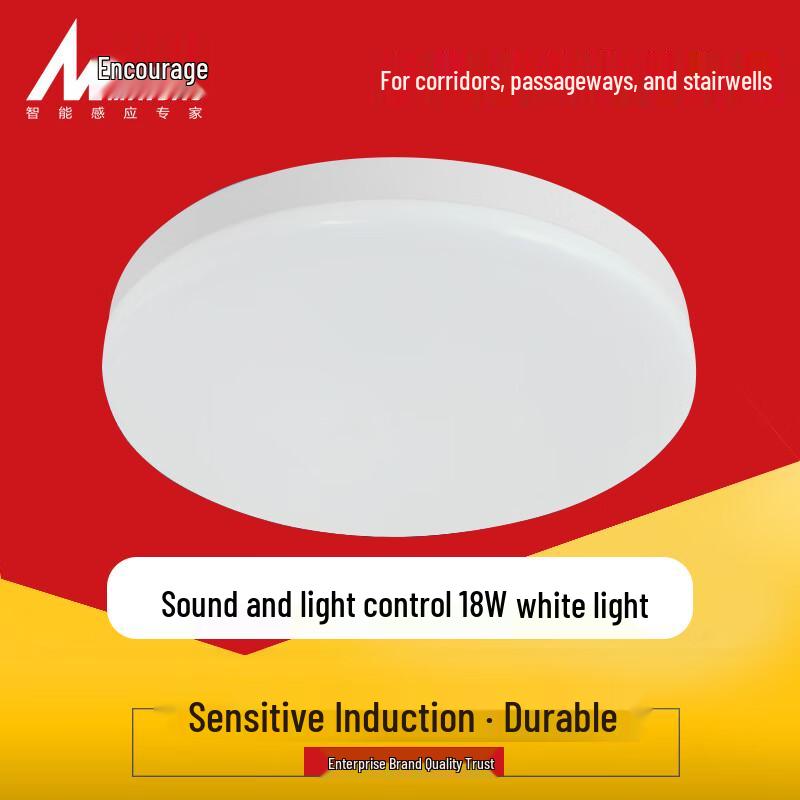 Maidao LED Sensor Ceiling Light