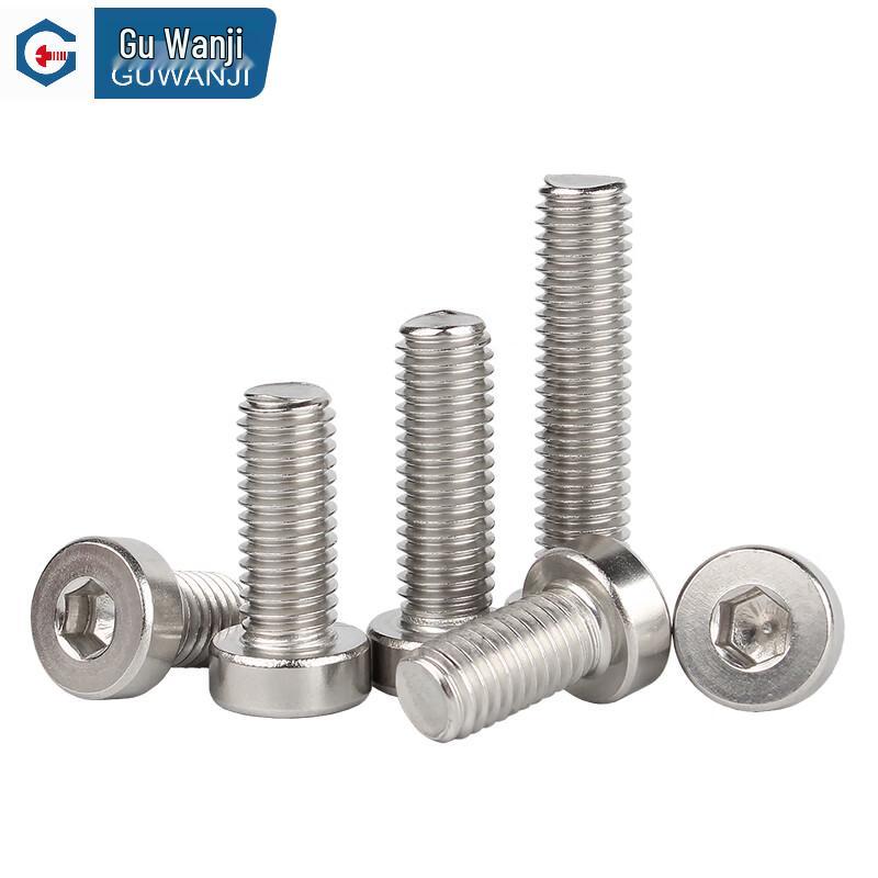 Guwanji 304 Stainless Steel Low Head Hex Socket Screws