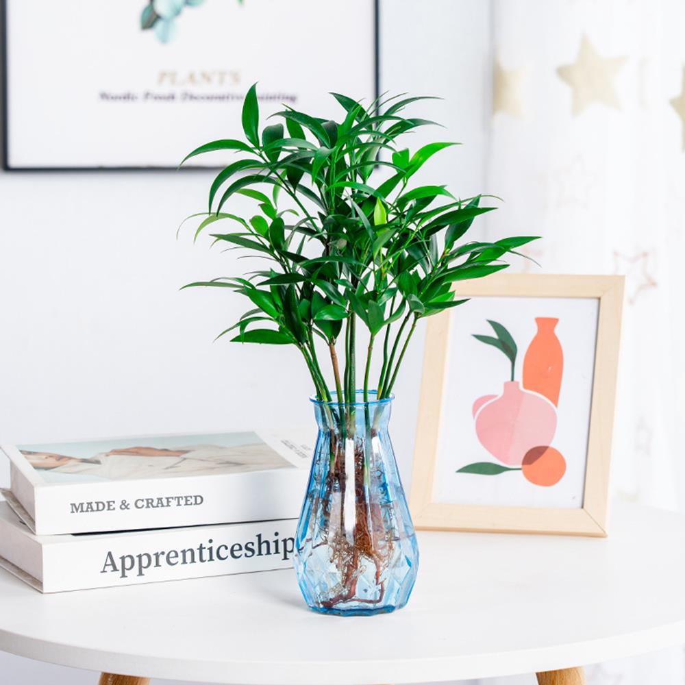 Plant Pot Transparent Vases Hydroponic Flower Vases Diamond Shaped Plastic Vase Home Decor Ornaments Modern Home Decoration