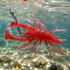3 Inch Soft Fishing Lures High Density Salted Multi-Legged Bug Style Bait 4 Pack Suitable for Competitive Water Spider Imitation