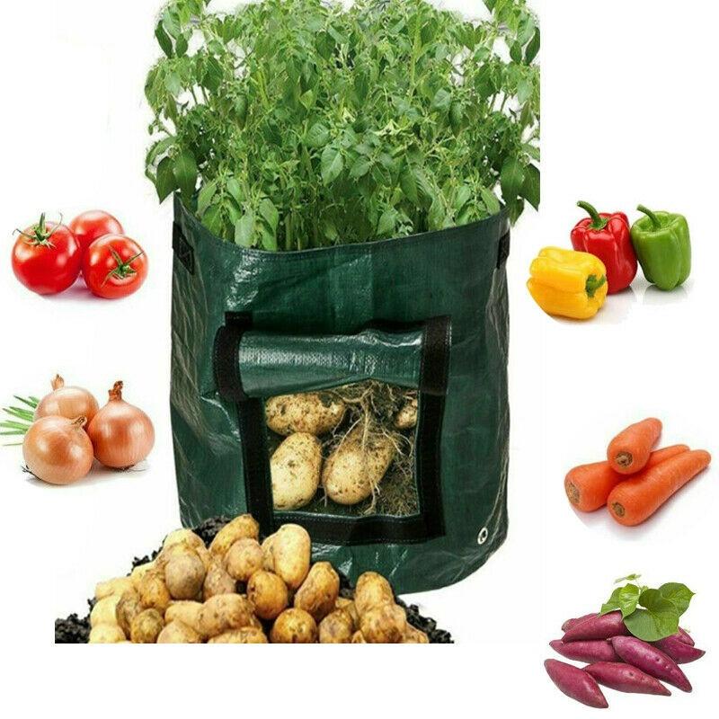 Durable And Reusable Potato Bags For Balcony And Patio Gardening 10 Gallon Capacity