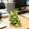 Decorative Frog Flower Pot Cartoon Plant Holder Flower Planter Lying Frog Figurine  Balcony Decor