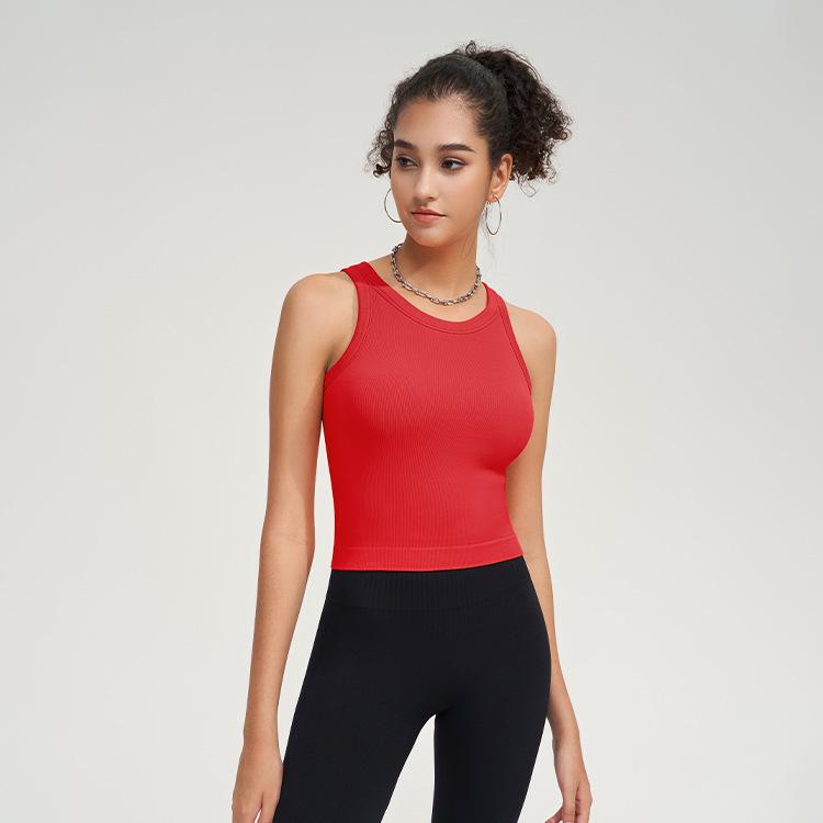 2025 Shockproof Sports Bra for Running, Fitness & Yoga - Women's High-Intensity Vest