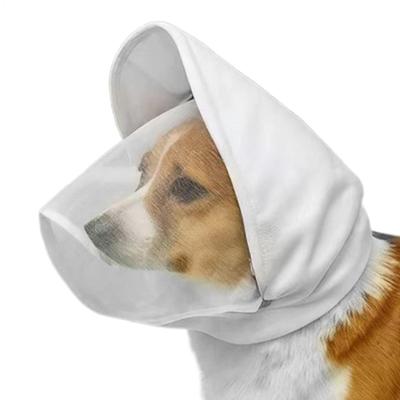 Oblečky a obuv – Doplňky pro psy