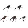 BANDAI Animal Stag Beetle 11 X Complete Set of 5 Types Capsule Encyclopedia (Gachapon Toy)
