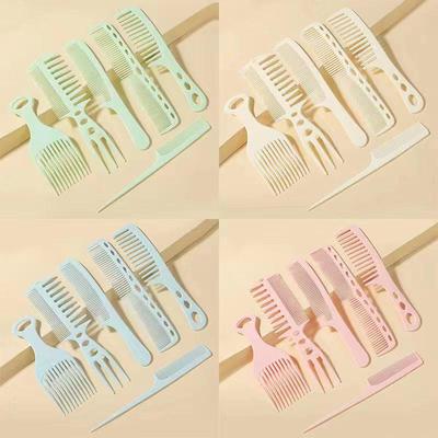 Black 6-Piece Hairdressing and Makeup Comb Set
