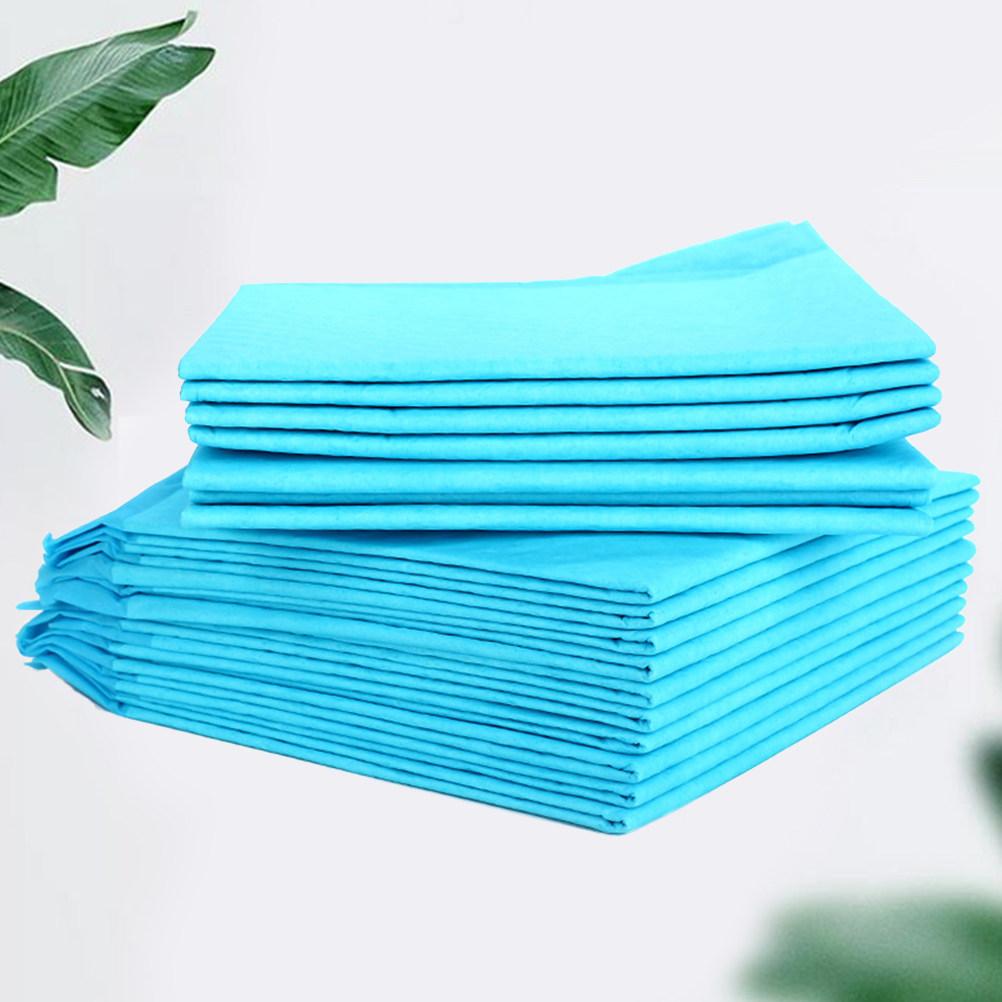 10Pcs Super Absorbent Pet Training Pads Puppy Pee Pads for Indoor Dogs Elderly Canine Cage Car Hotel Clean Dry Surface Odor