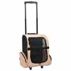 VidaXL Pliable Multi-Purpose Pet Carrier Beige 170192
