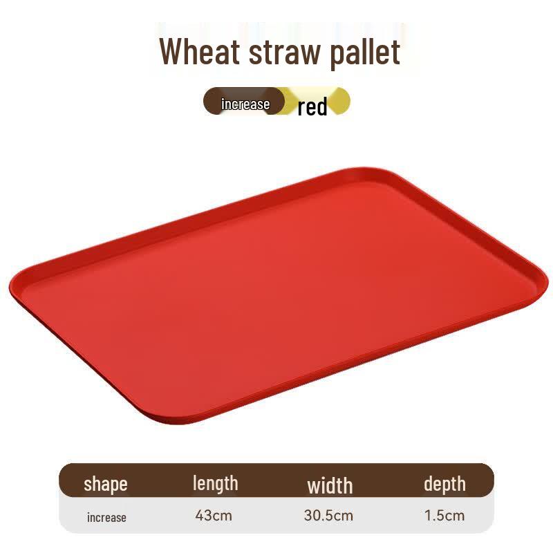 Ruhan Nordic Rectangular Plastic Tray