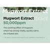 Isntree - Mugwort Calming Clay Mask Mini