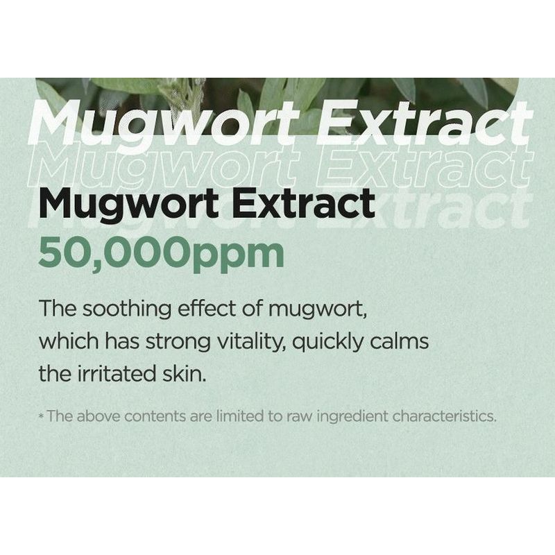 Isntree - Mugwort Calming Clay Mask Mini