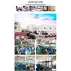 Vitality Chi Swing Machine Electric Passive Aerobic Exercise Machine Swing Fitness Physical Therapy Leg Back Waist Massager