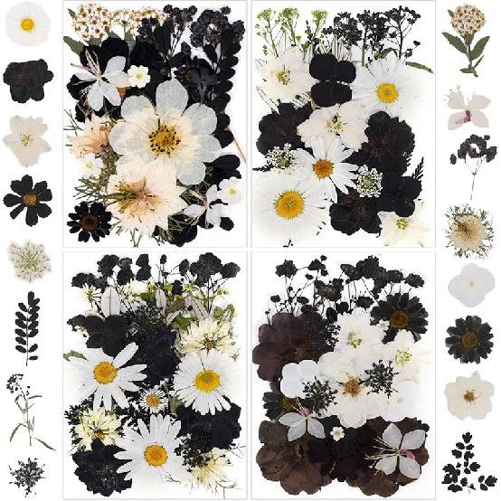 Pressed Flowers Bulk Dried Flowers for Crafts,Real Natural Pressed Flowers Dry Leaves Kit for Crafts Resin Mold Jewelry Candle Soap Making