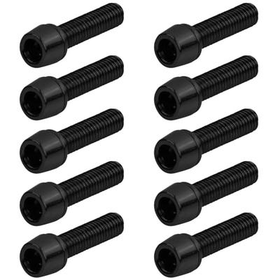 Set of 10 M5 X 20 P0.8 Titanium Bolts, 0.2 Inch (5 Mm), 0.8
