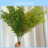 Star Lifelike Grass Greenery For Styling And Wedding Home Decoration Gift