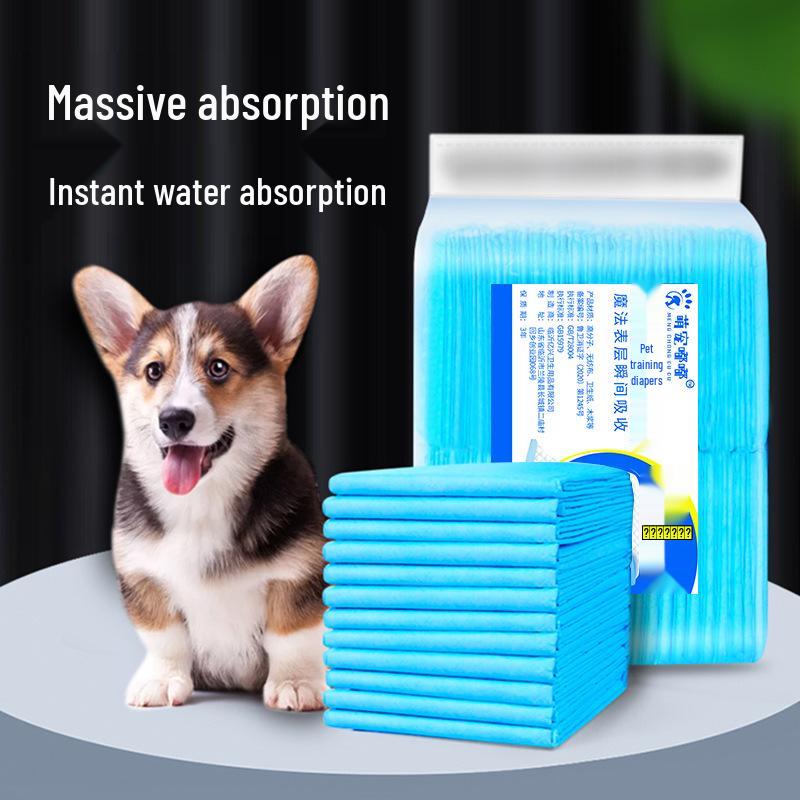 Thickened Deodorizing Pet Pee Pads for Dogs, Cats, Rabbits & More