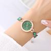 Temperament Watch Women's Trend Simple Temperament Wind Clover Bracelet Women's Watch Diamond Watch Pull Bracelet