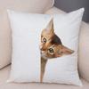 1PC 45x45cm Cute Cat Pillowcase for Home Sofa Children Room Decor Lovely Pet Animal Print Cojines Cushion Cover Pillow Case