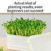 Modern Hydroponic Planter Box Bean Sprouter With Lid Cultivation Germination Tray For Bean Pea Wheatgrass Growing Plant