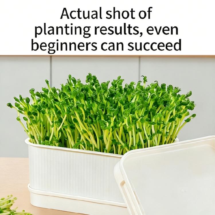 Modern Hydroponic Planter Box Bean Sprouter With Lid Cultivation Germination Tray For Bean Pea Wheatgrass Growing Plant