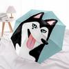 1PC Husky Dog Automatic Windproof Umbrella 8 Rib Portable Folding Black Iron Frame for Outdoor, Beach, Travel, Beach Umbrella,S45