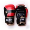 ANOTHERBOXER Unisex Boxing Gloves for Adult & Kid Training