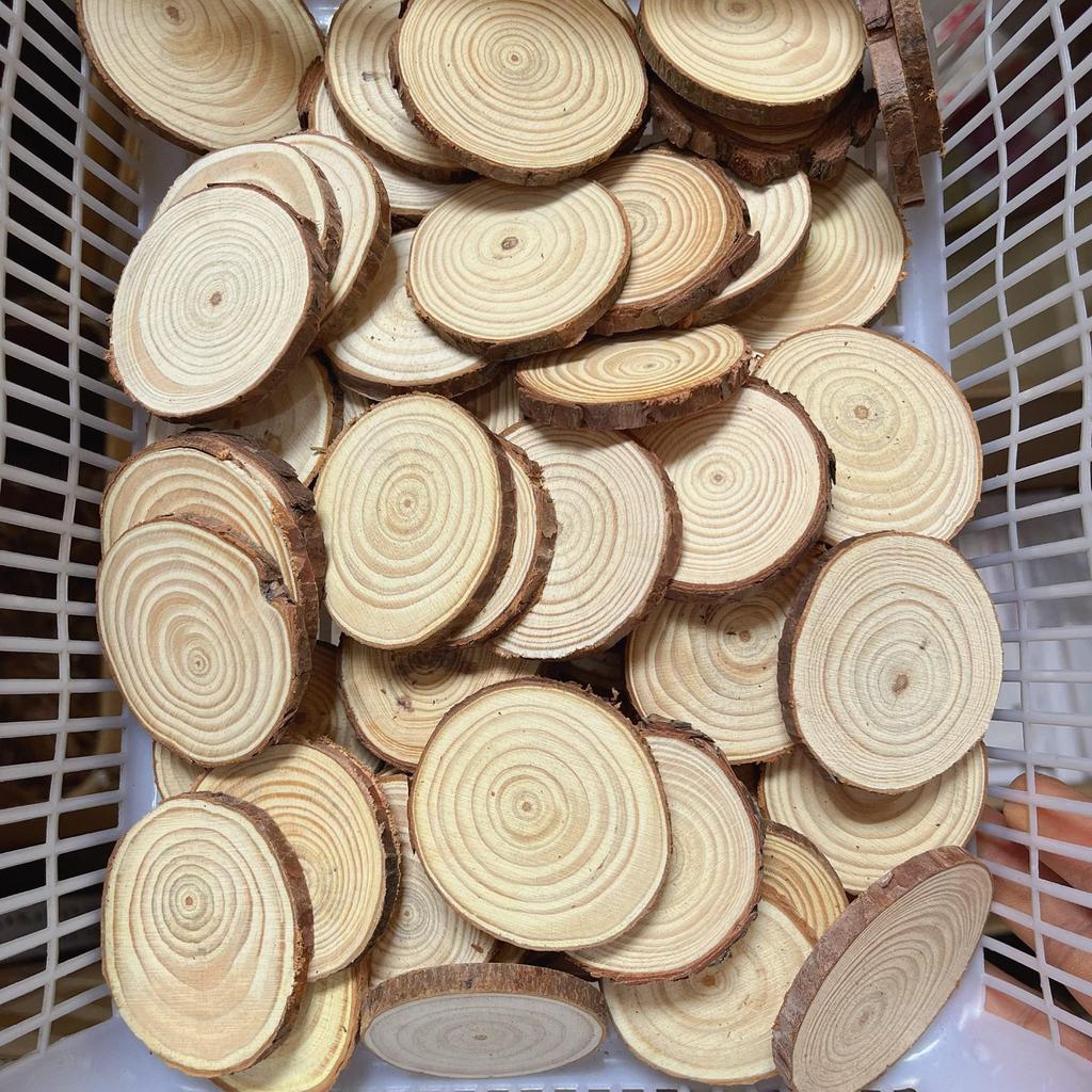 DIY Hand-Painted Wooden Slices for Crafts and Kindergarten Decor – Small Natural Wood Pieces with Growth Rings