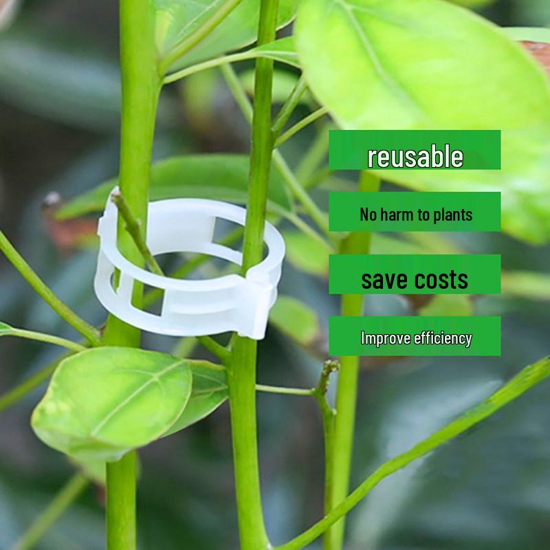 Green Plant Support Clips & Vines for Seedlings