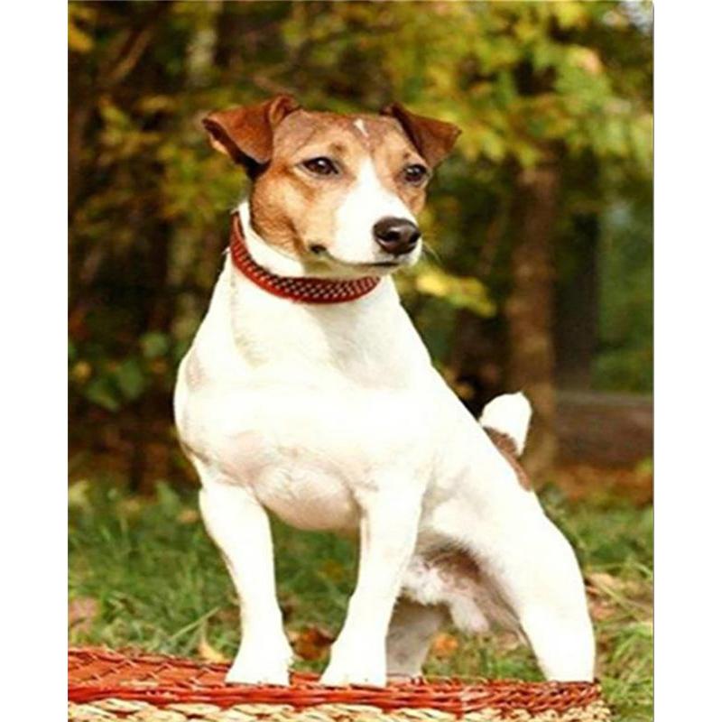 5D DIY Diamond Painting Cute Puppy Diamond Mosaic Diamond Embroidery Full Set Cross Stitch Kits Home Decor Gifts