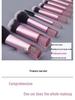 10-Piece Mini Makeup Brush Set with Soft Blush Brush, Powder Puff, Sponge, and Bag