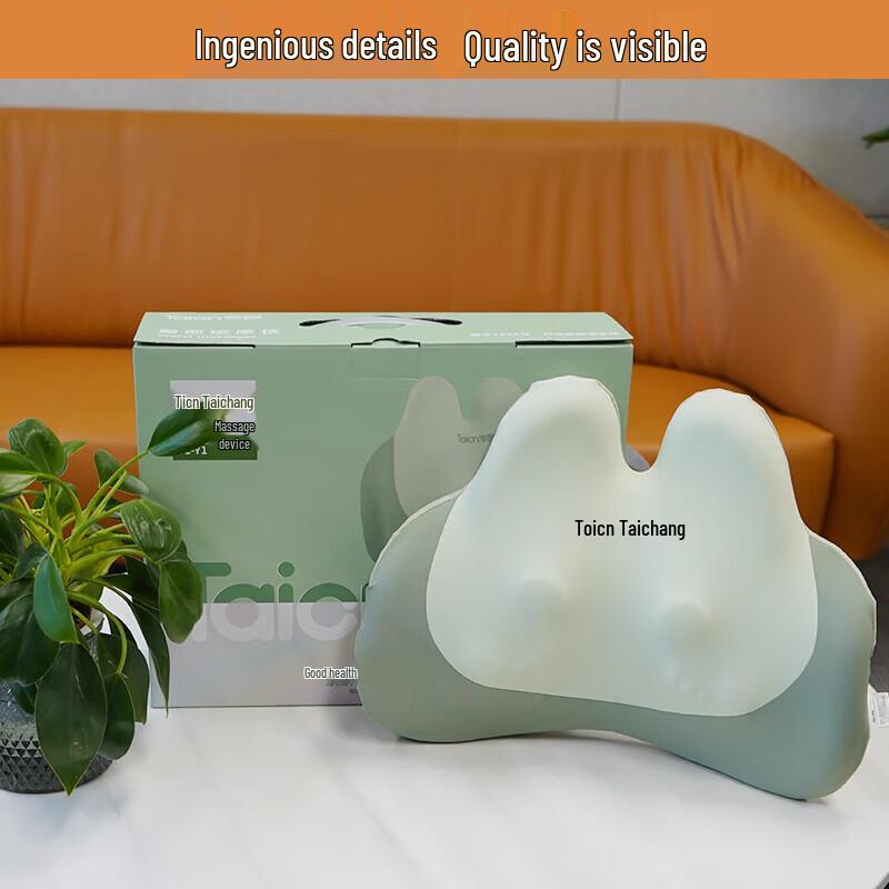 Taicn Multi-Part Kneading Massage Cushion