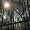 Paisley Joshu Kaguya Bambuslaterne, Bambuslicht für Camping, Warmweiße LED-Streifenleuchte mit USB-Anschluss und Netzteil, cpt-t00260-OS