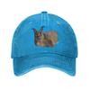 Big Floppa Washed Denim Cap Casual Baseball Caps Adjustable Hat Summer Unisex Baseball Hats